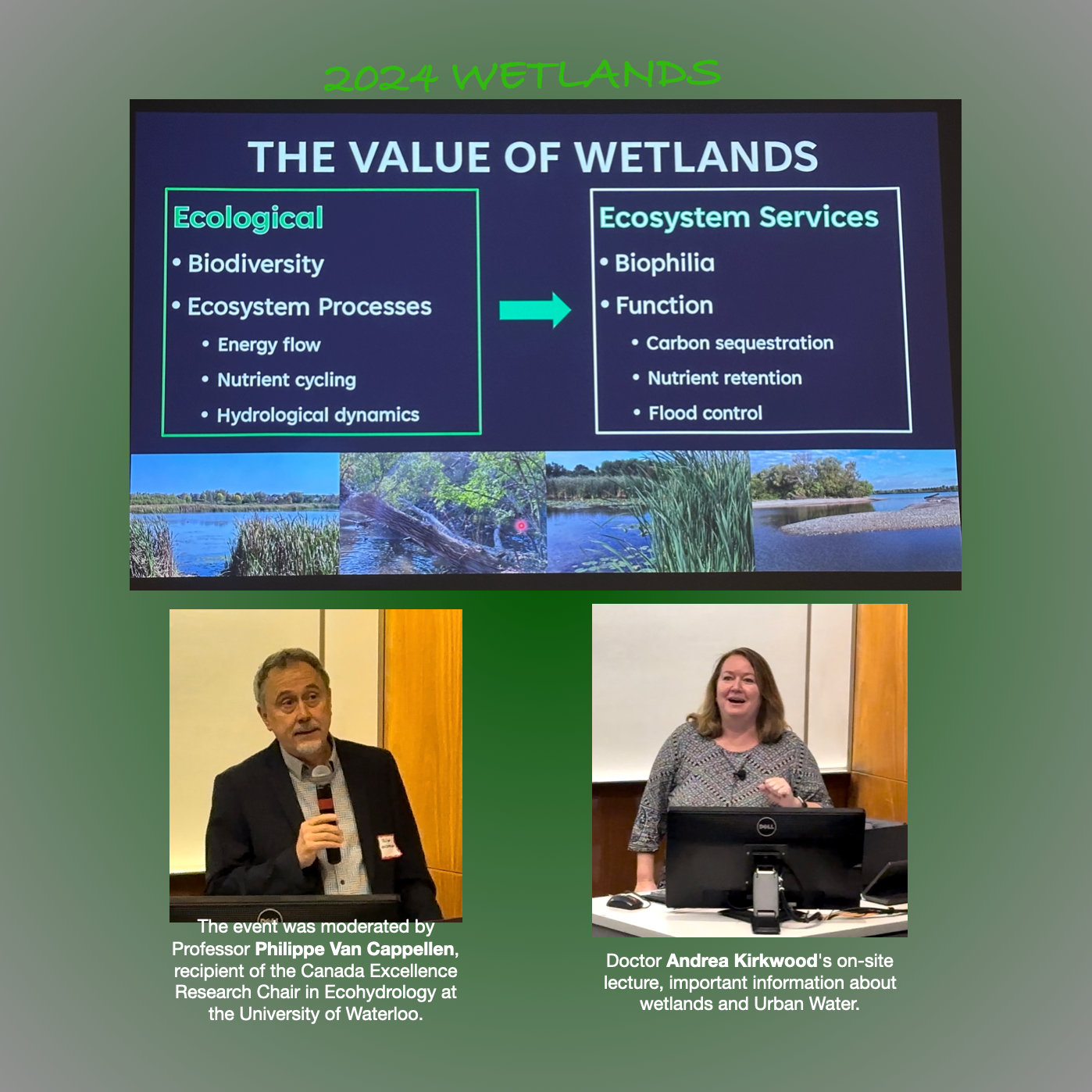 2024 "Wetlands"-University of Waterloo