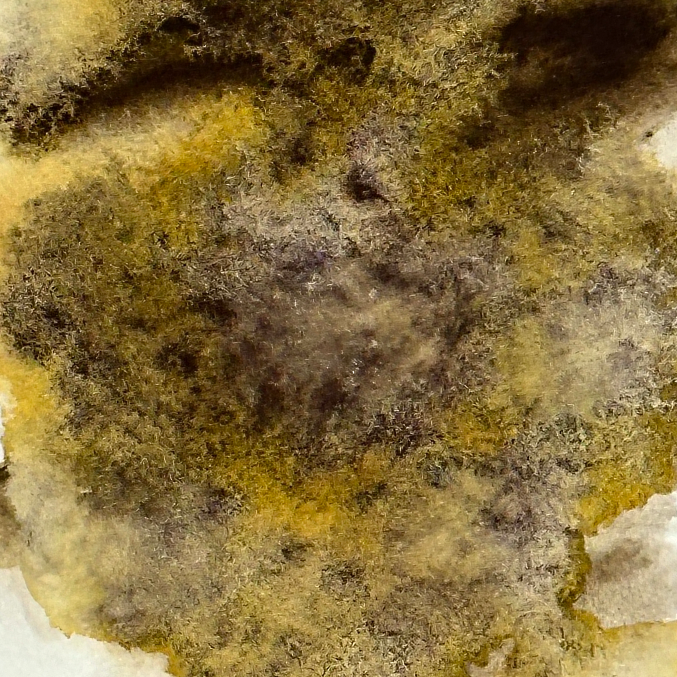 EM721-20251-1b.png