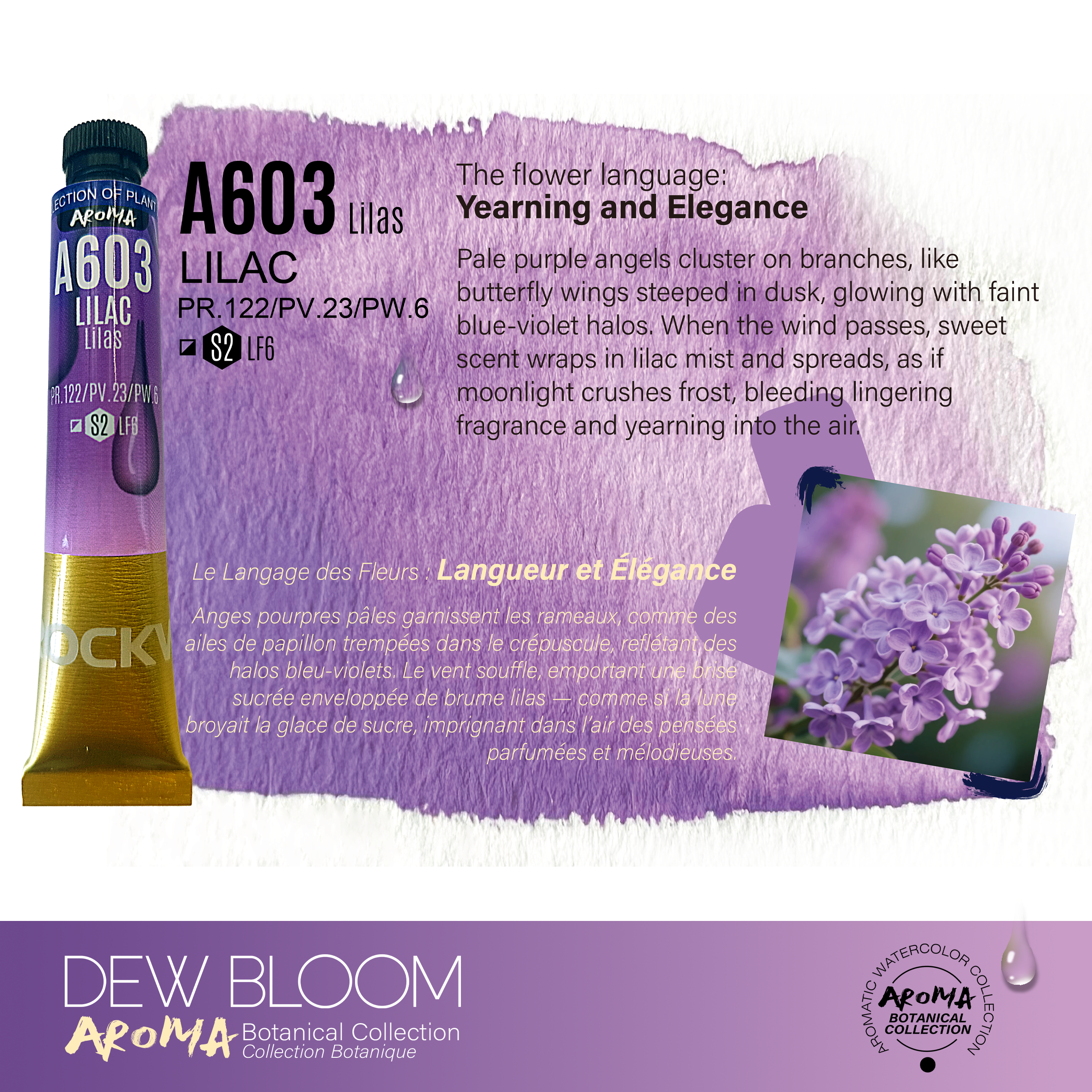 A603-1.png