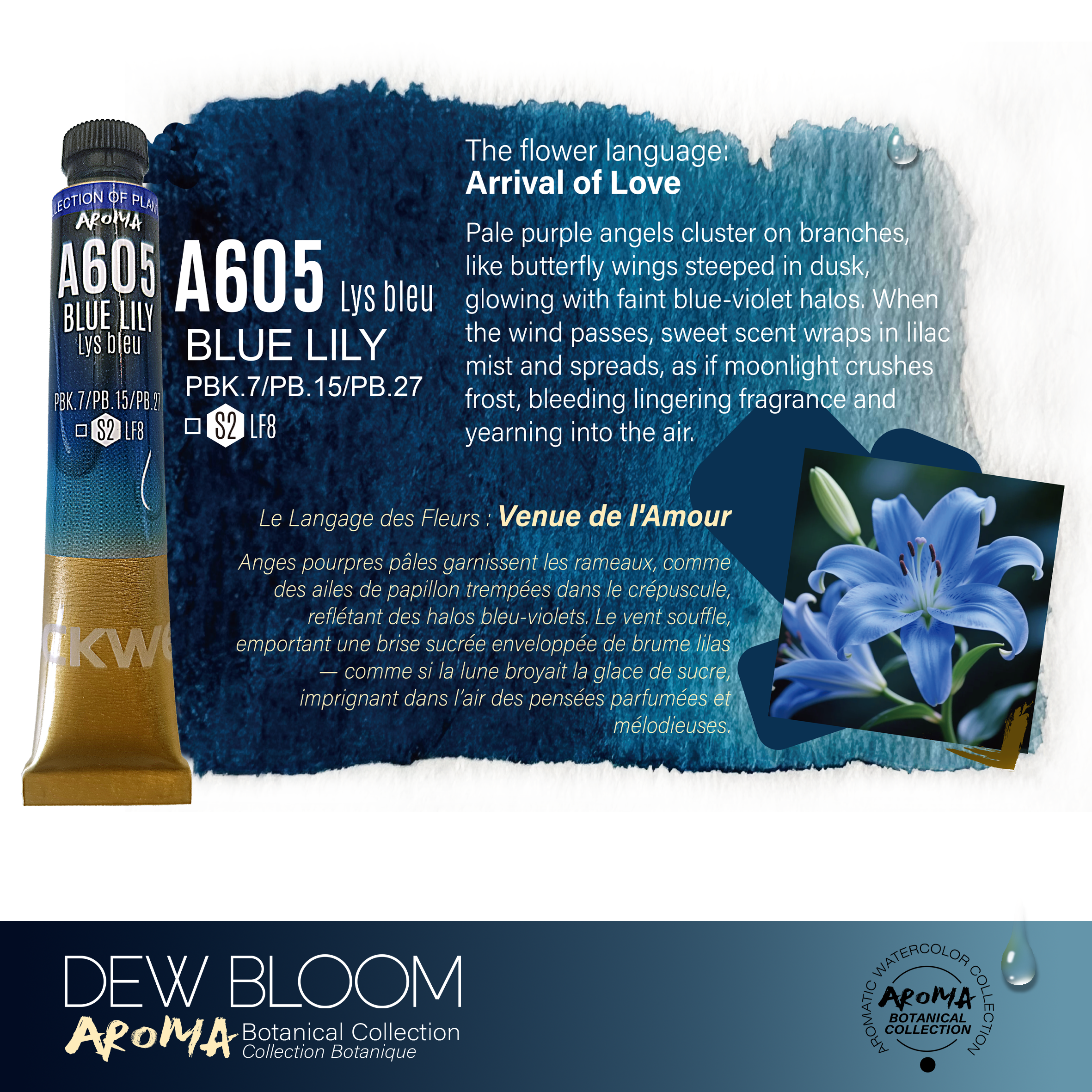 A605-1.png
