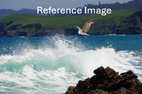 Anastasiia_Petryaeva_ref_7004eb7d-3c2a-431d-bfb9-5dacefb518b4.png
