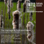 EM713 Cattails 8ml