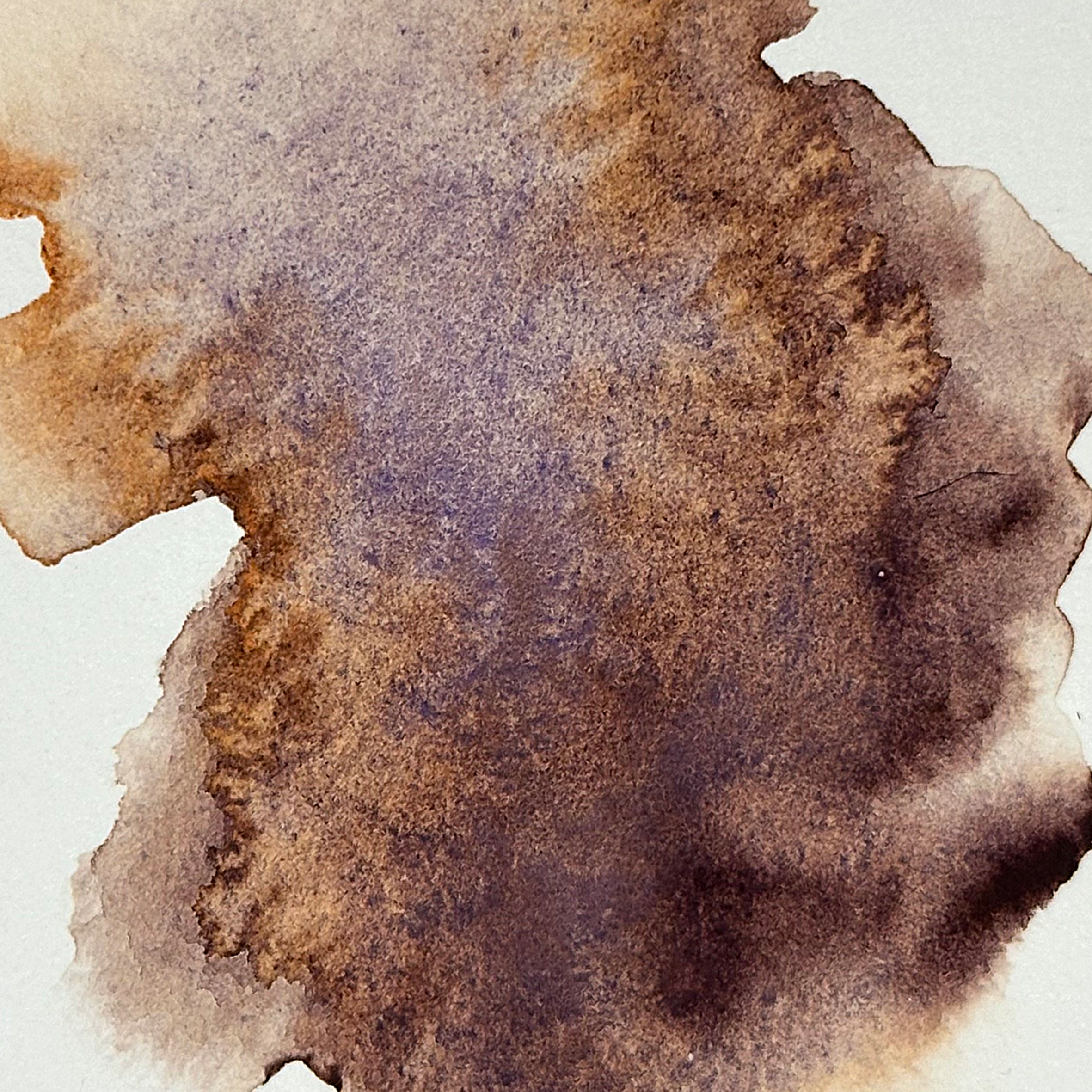 EM716-20251-1c_Maple_Samaras.png