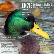 EM718 Iridescent Mallard 8ml