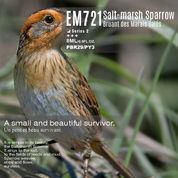 EM721 Salt-Marsh Sparrow 8ml