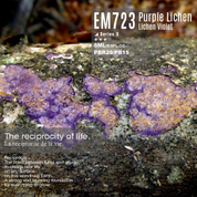 EM723 Purple Lichen 8ml