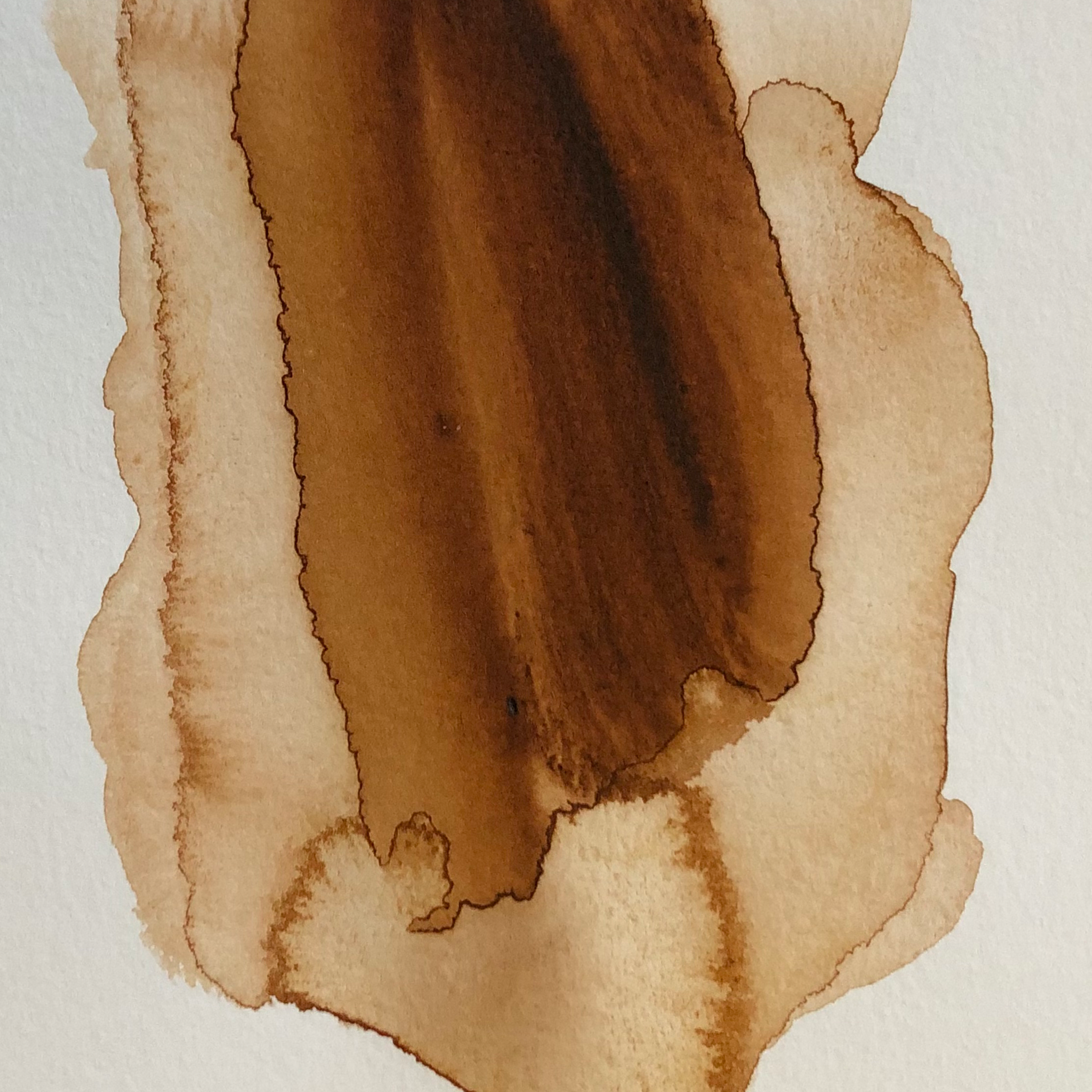 M231 Burnt Umber 15ml