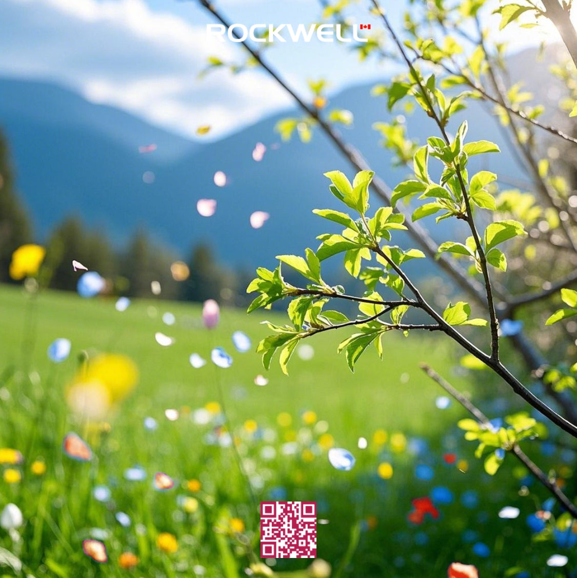 Spring Photo Set Spring Sets – RockWell Art Supplies Inc.