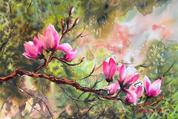 Nature in Watercolor - Veneta Docheva