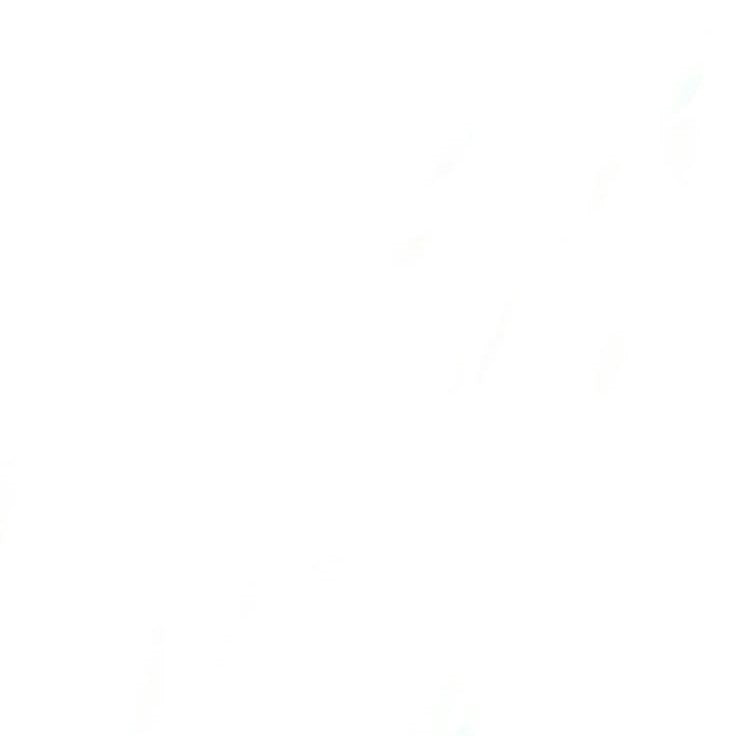 White_background.jpg