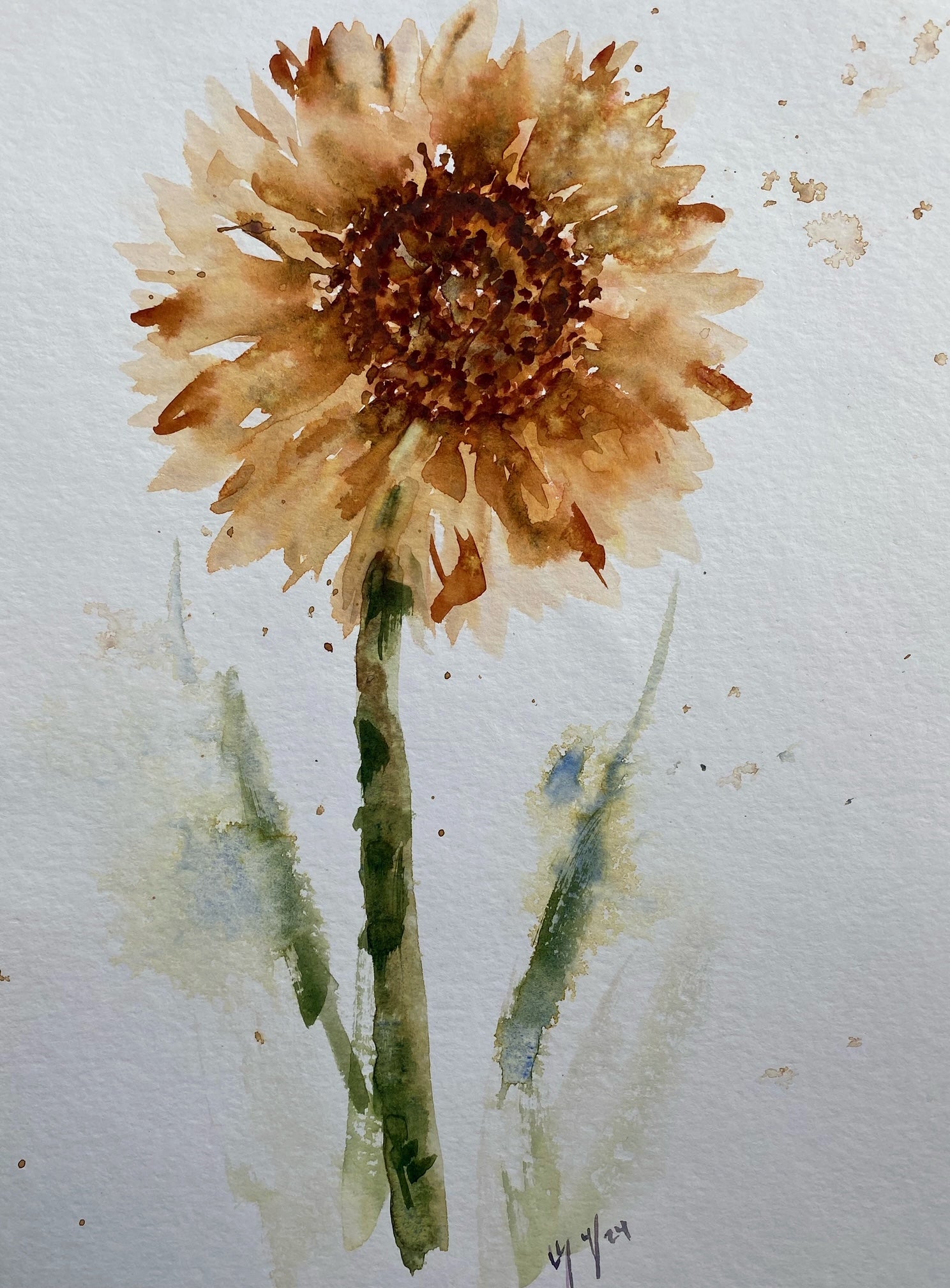 image0.jpg